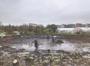 四平河道鱼塘清淤